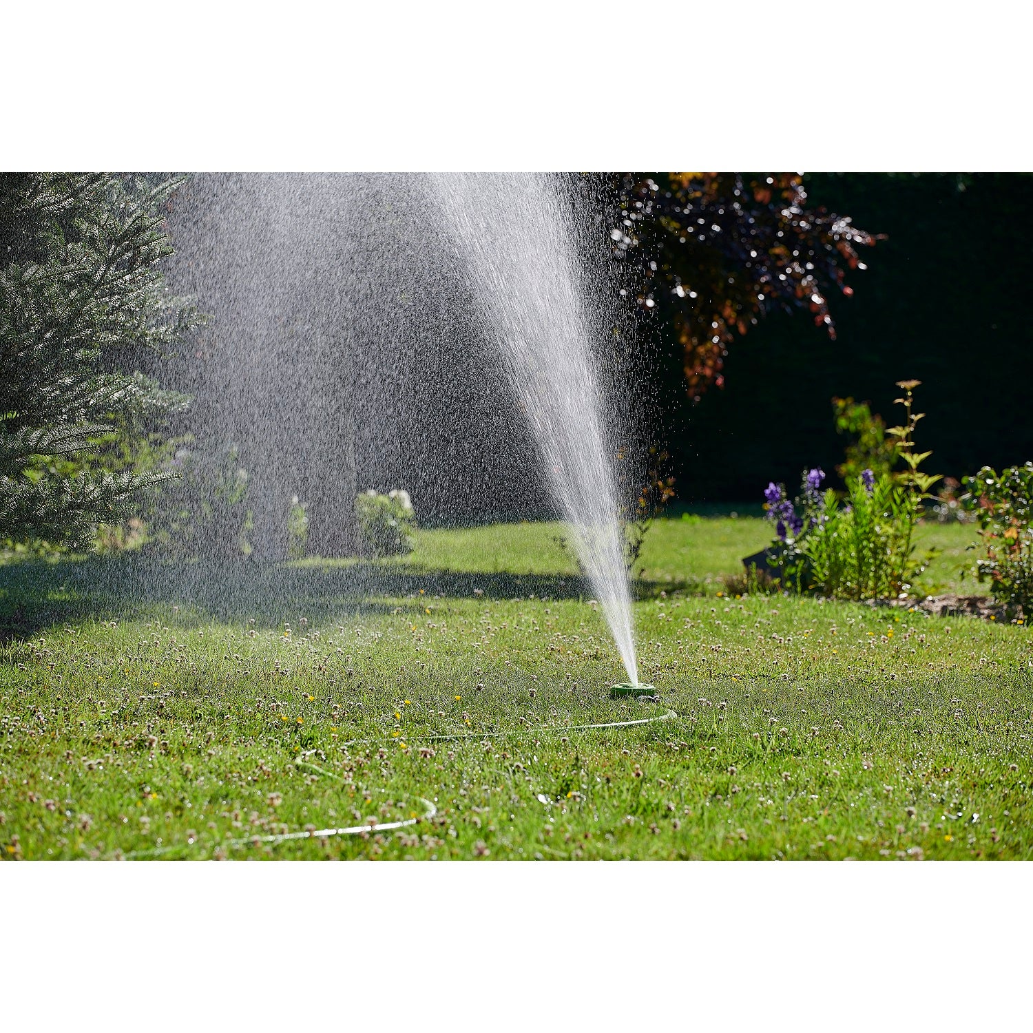 aroz-arroseur-poser-multi-surface-circulaire-rectangulaire image 8
