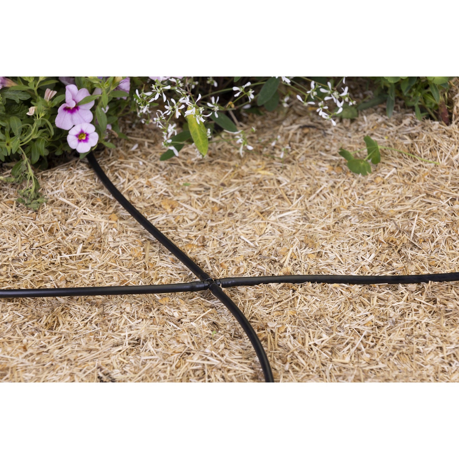 aroz-croix-micro-tube-6-mm-goutte-goutte-x10 image 3