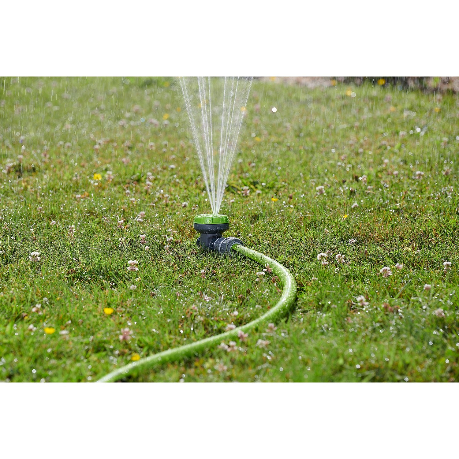 aroz-arroseur-sur-pic-asperseur-jardin-jet-r-glable image 8
