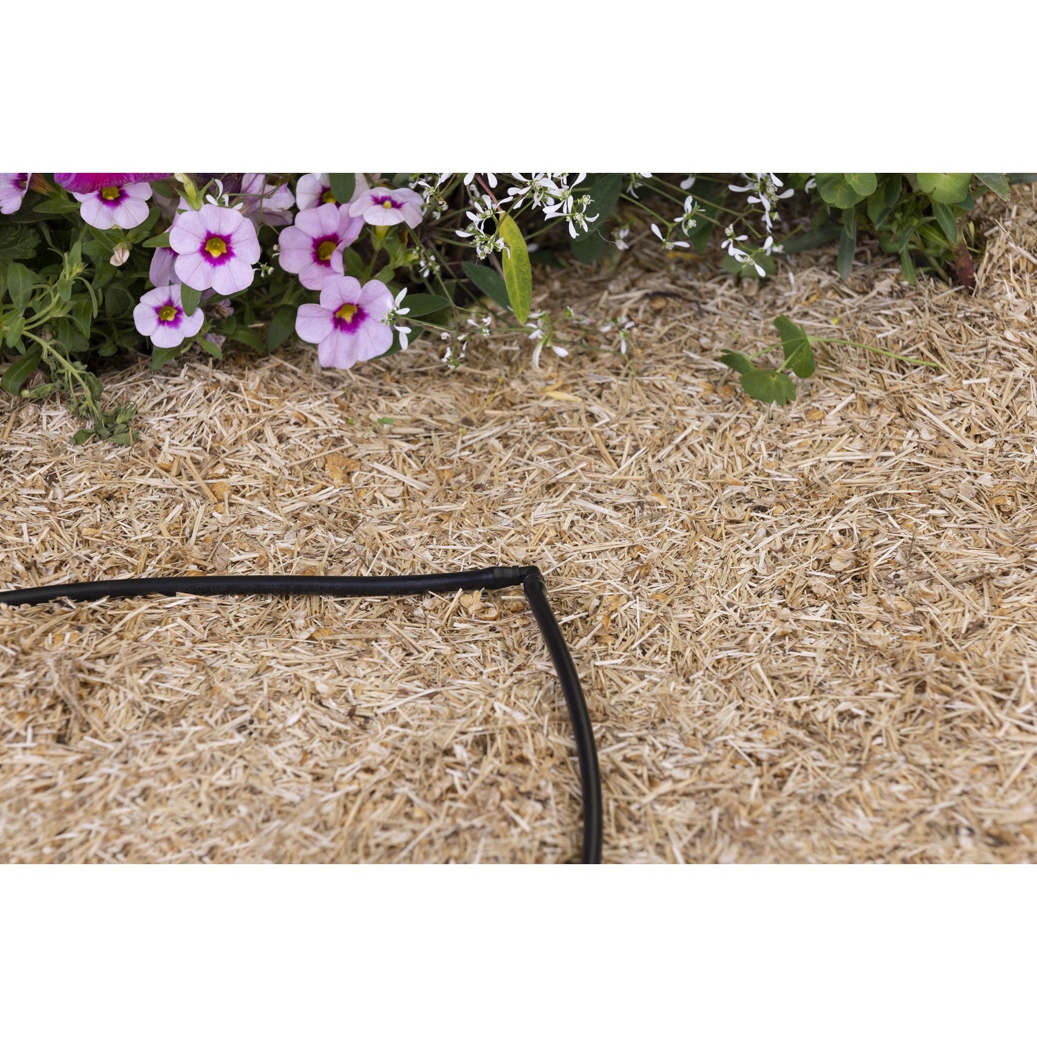 aroz-goutte-goutte-coude-micro-tube-6-mm-x10 image 4