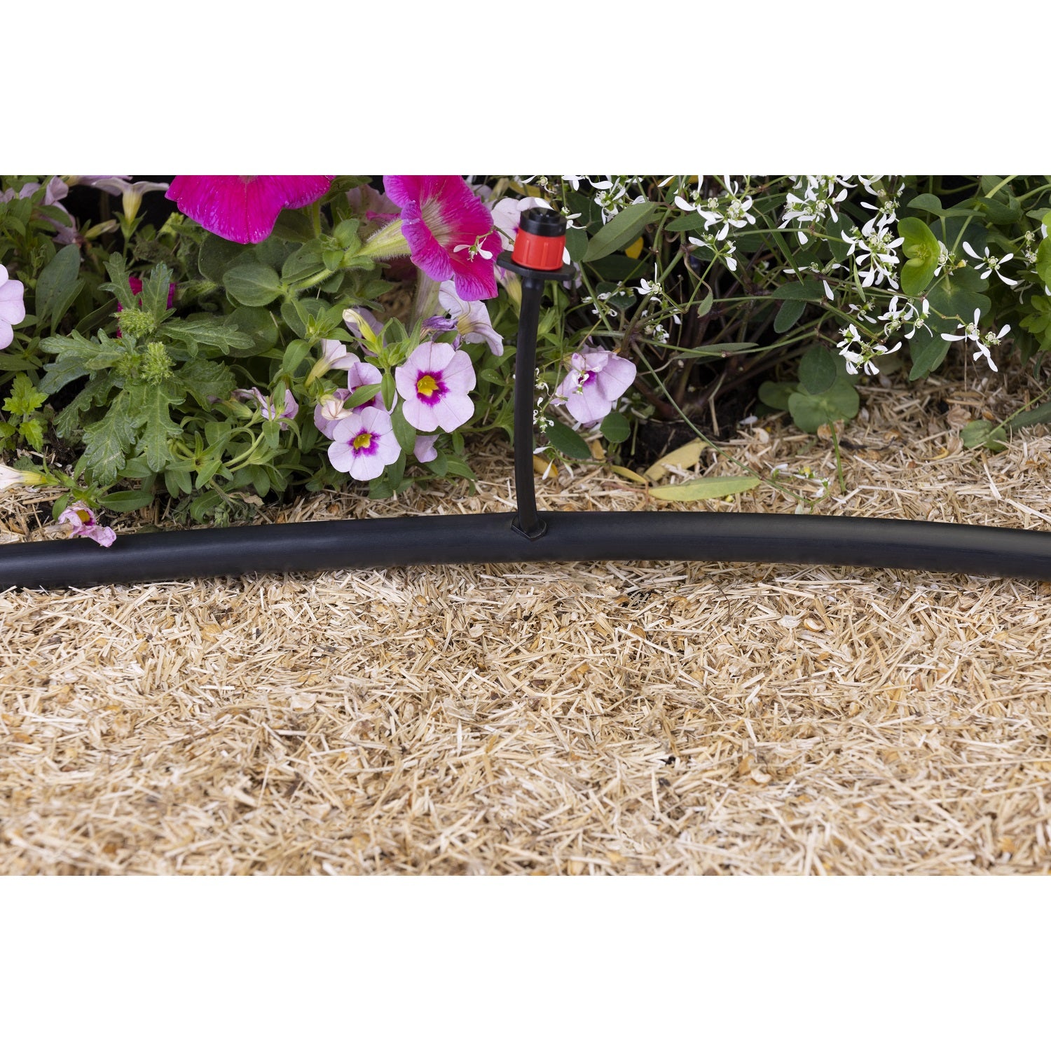 aroz-goutte-goutte-raccord-de-piquage-16-6-mm-raccord-x10 image 4