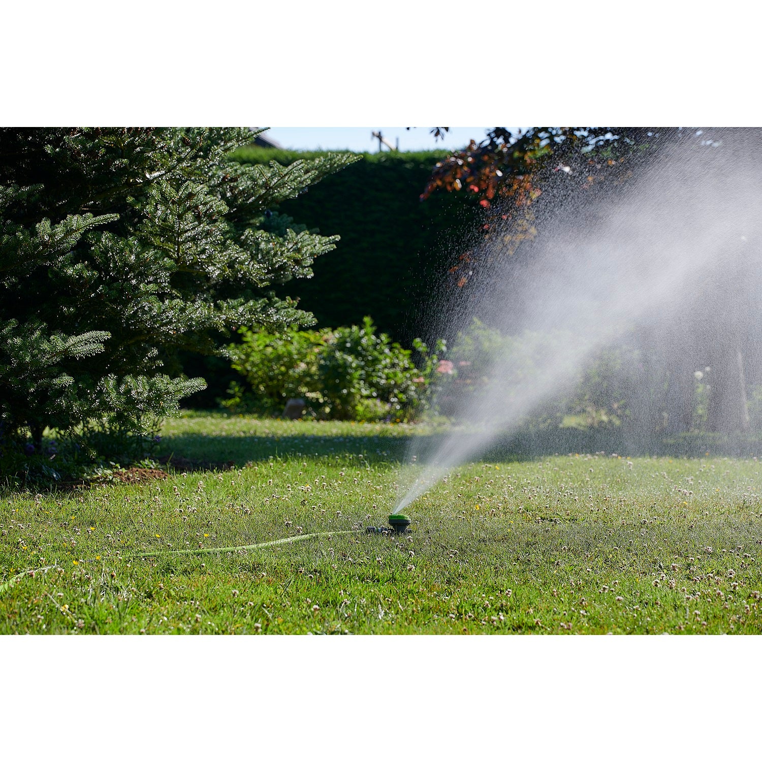 aroz-arroseur-sur-pic-asperseur-jardin-jet-r-glable image 6