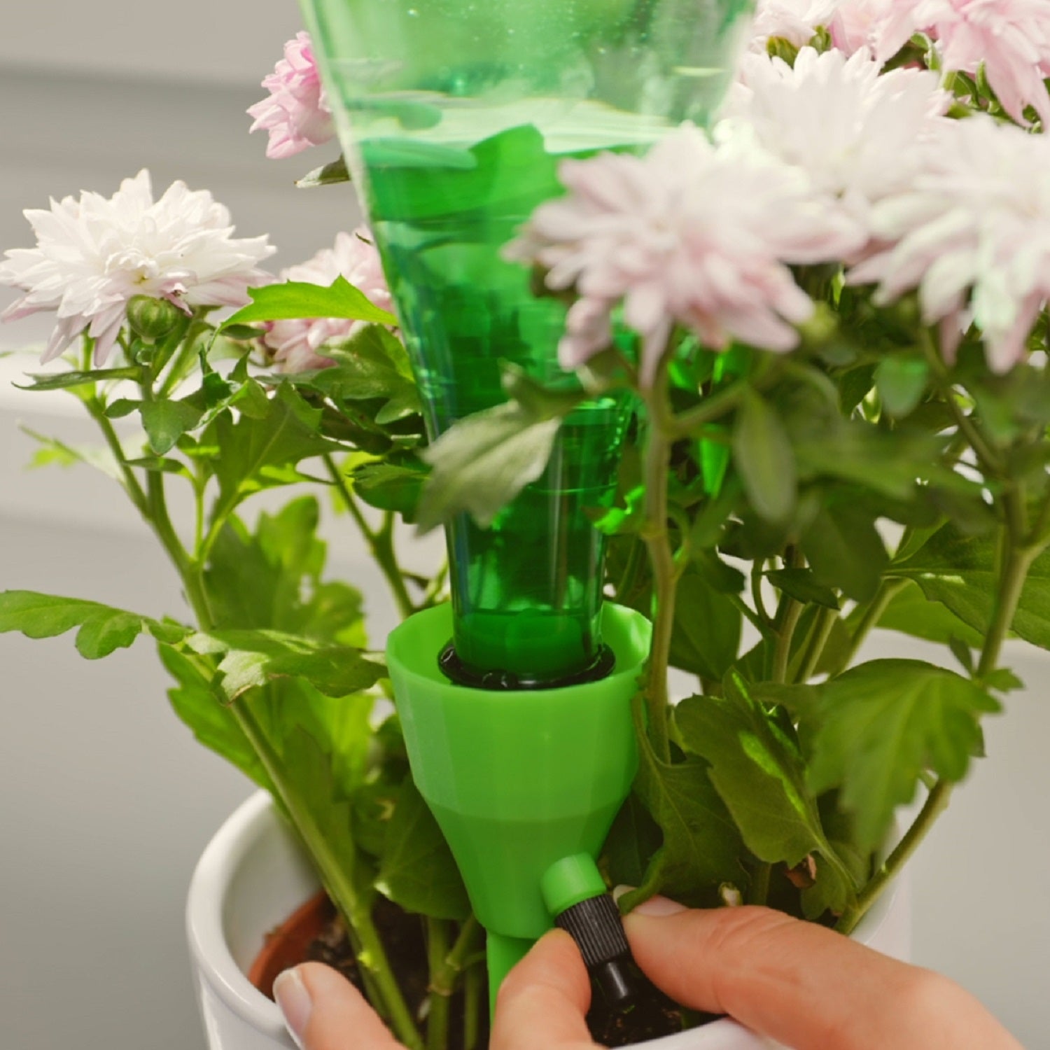 aroz-goutte-goutte-goutteur-bouteille-pic-arrosage-d-bit-r-glable image 3