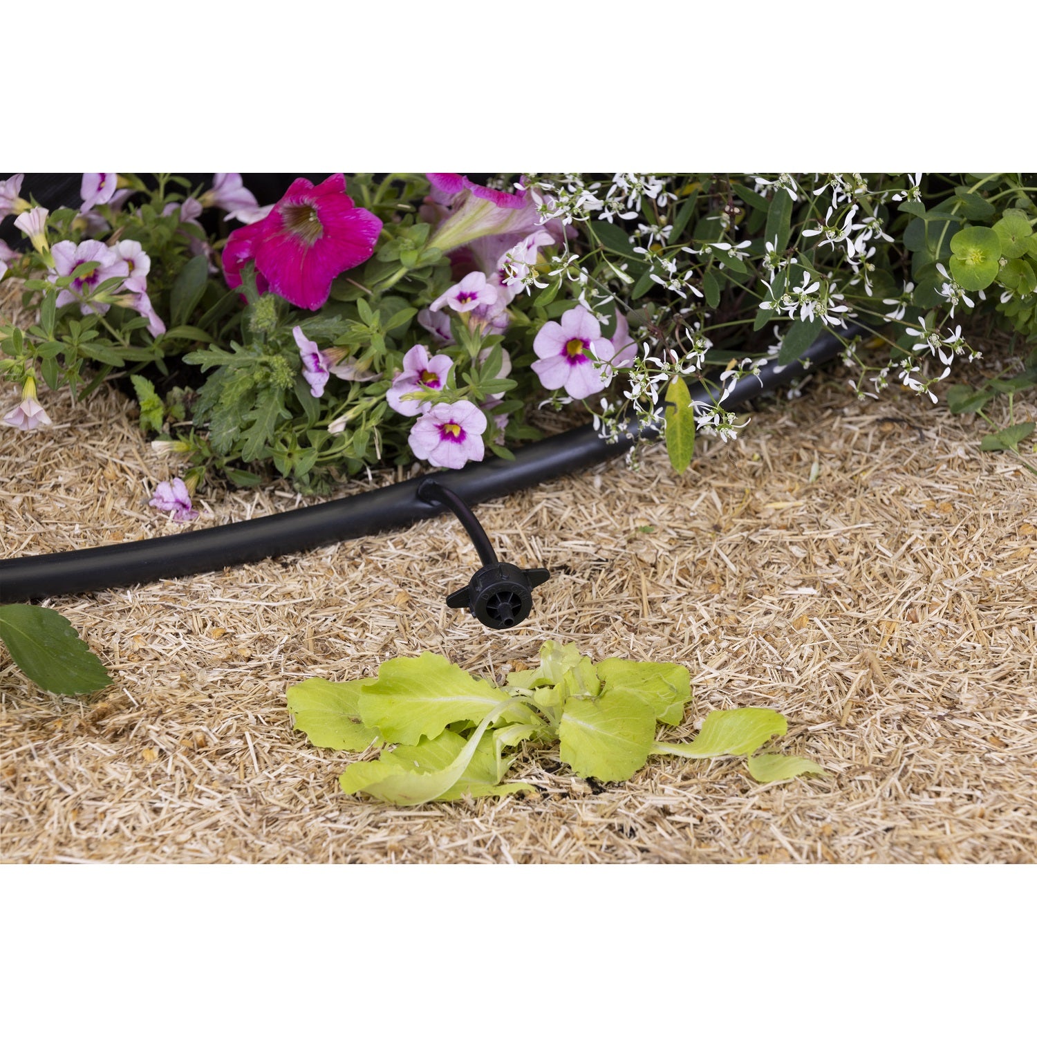 aroz-goutte-goutte-goutteur-auto-r-gulant-4-l-h-x10 image 6