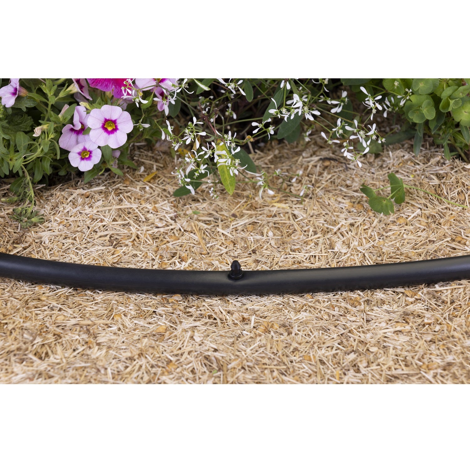 aroz-goutte-goutte-bouchon-micro-tube-6mm-x10 image 4