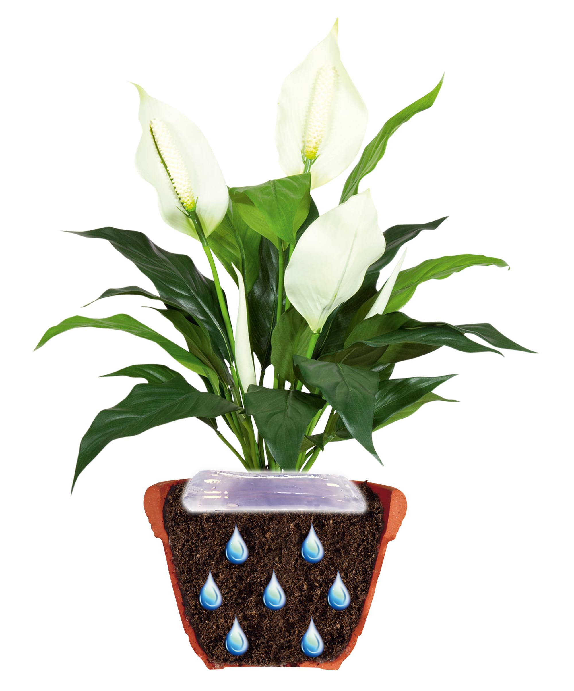 jardibric-gel-arrosage-plantes-400ml-humidit-sol image 2