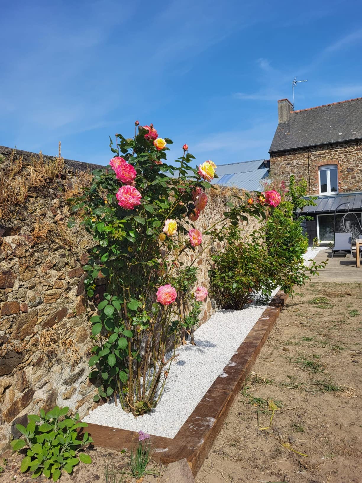 Parfait sous gravier