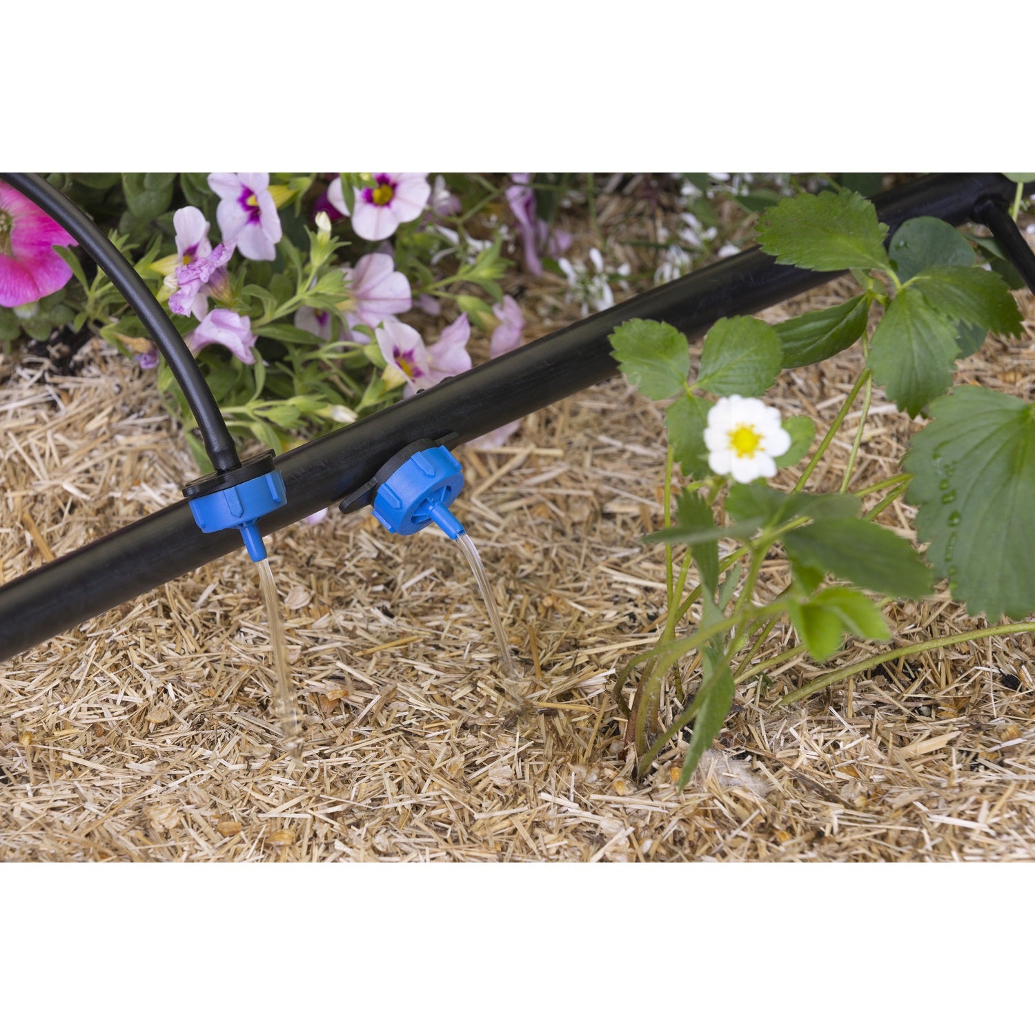 aroz-goutte-goutte-goutteur-autor-gulant-8-l-h-10-goutteurs image 4