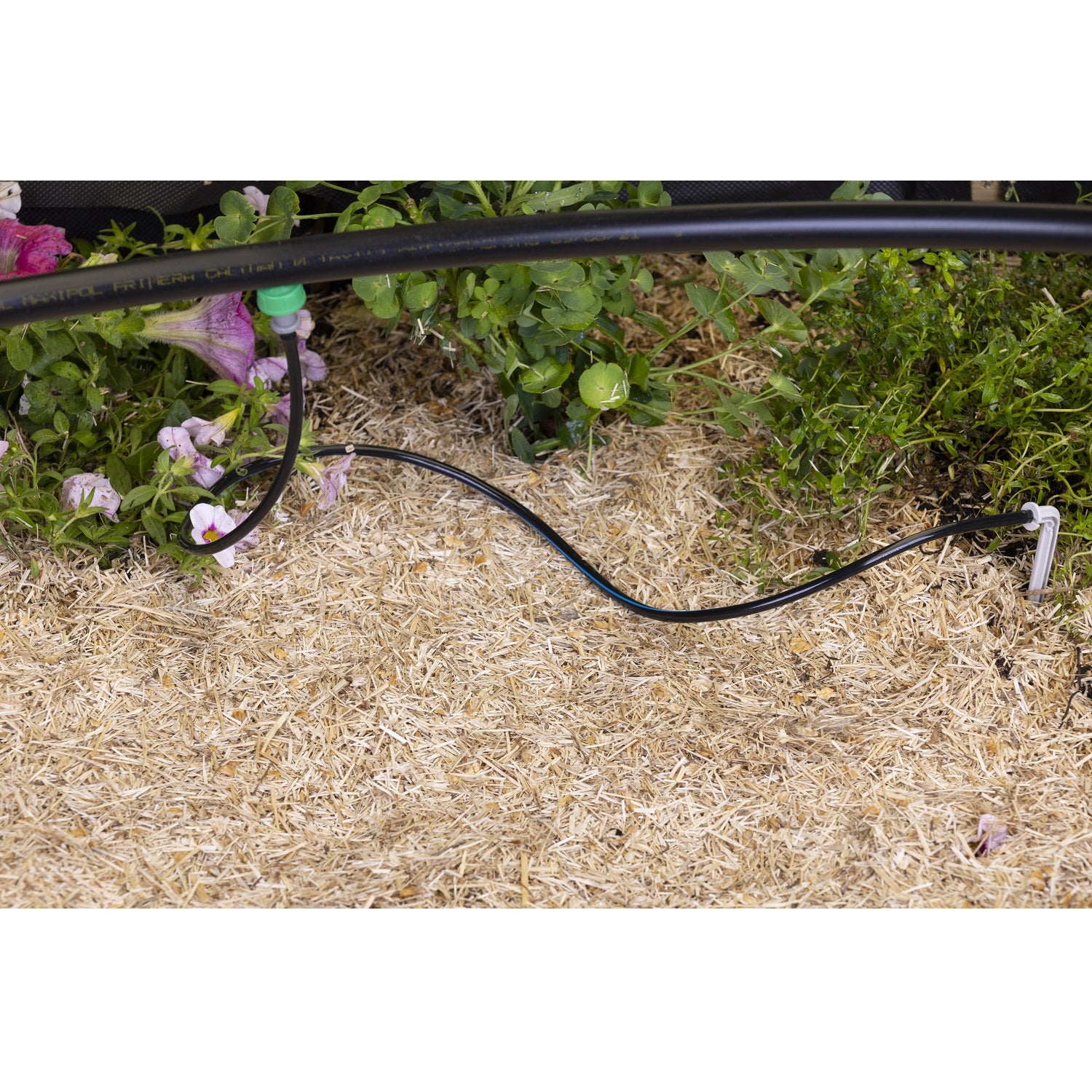 aroz-goutte-goutte-kit-capillaire-piquet-1-branche image 5