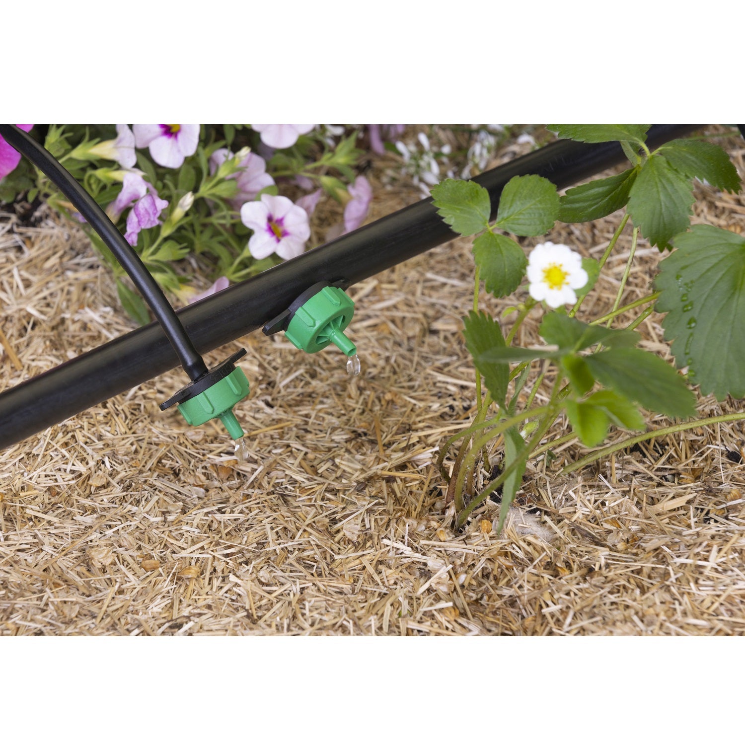 aroz-goutte-goutte-goutteur-auto-r-gulant-2-l-h-10-goutteurs image 4