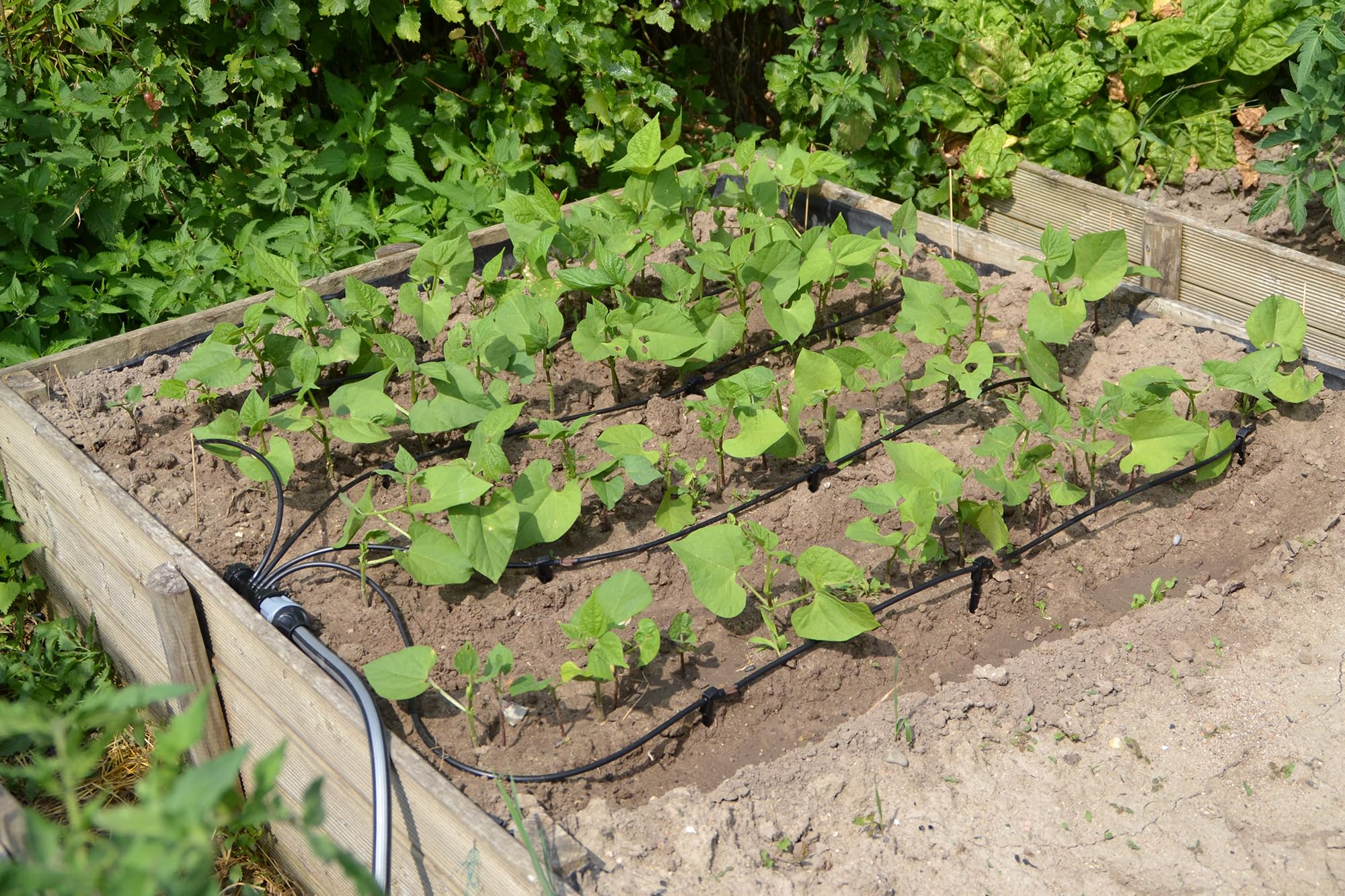 jardibric-arrosage-localis-kit-carr-potager-goutte-goutte-pr-cis image 2