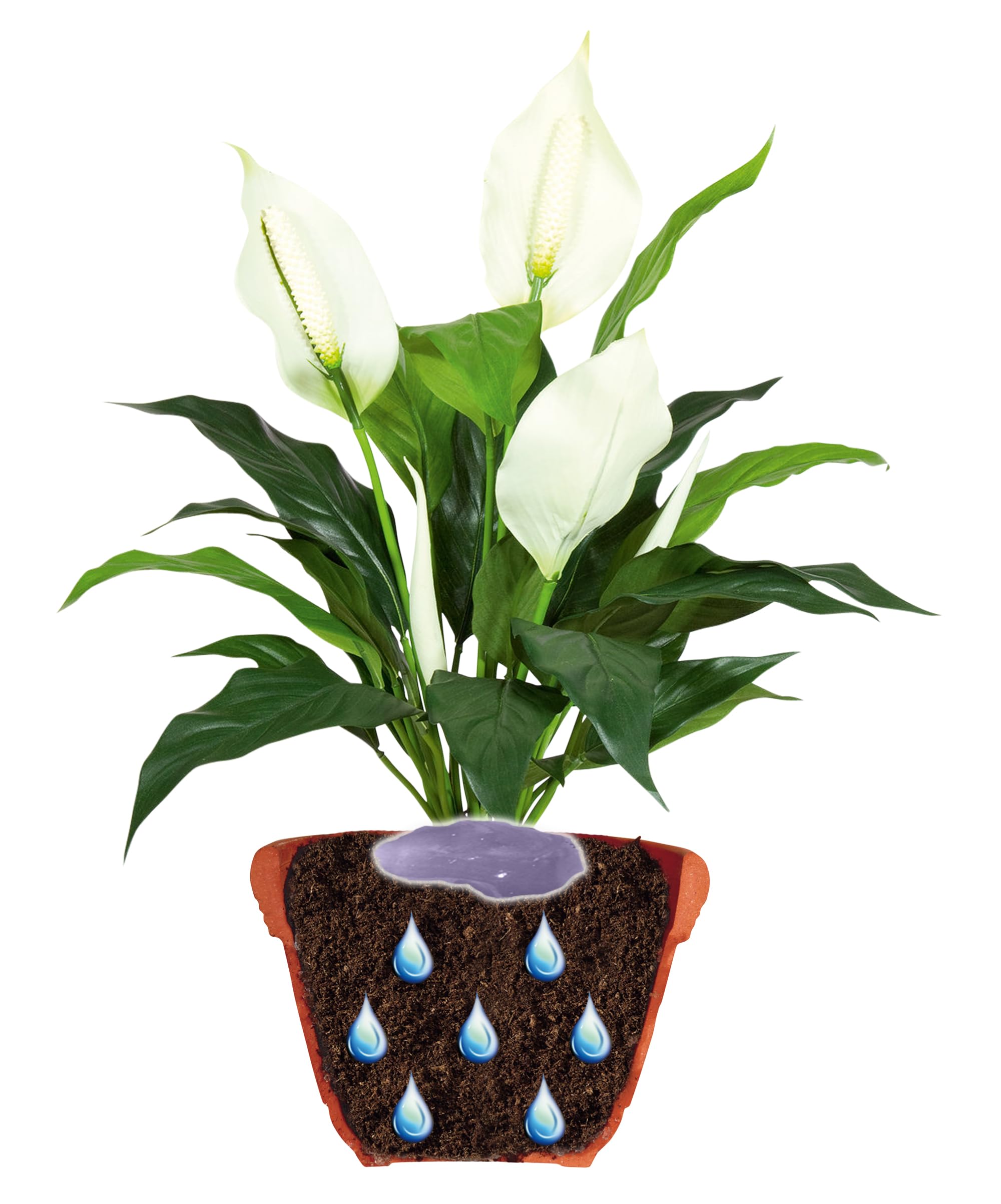 jardibric-gel-r-tenteur-eau-plantes-3-l-jardin-potager image 3