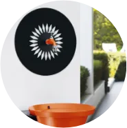 colortap-aquapoint-wall-daisy-fontaine-murale-jardin image 1