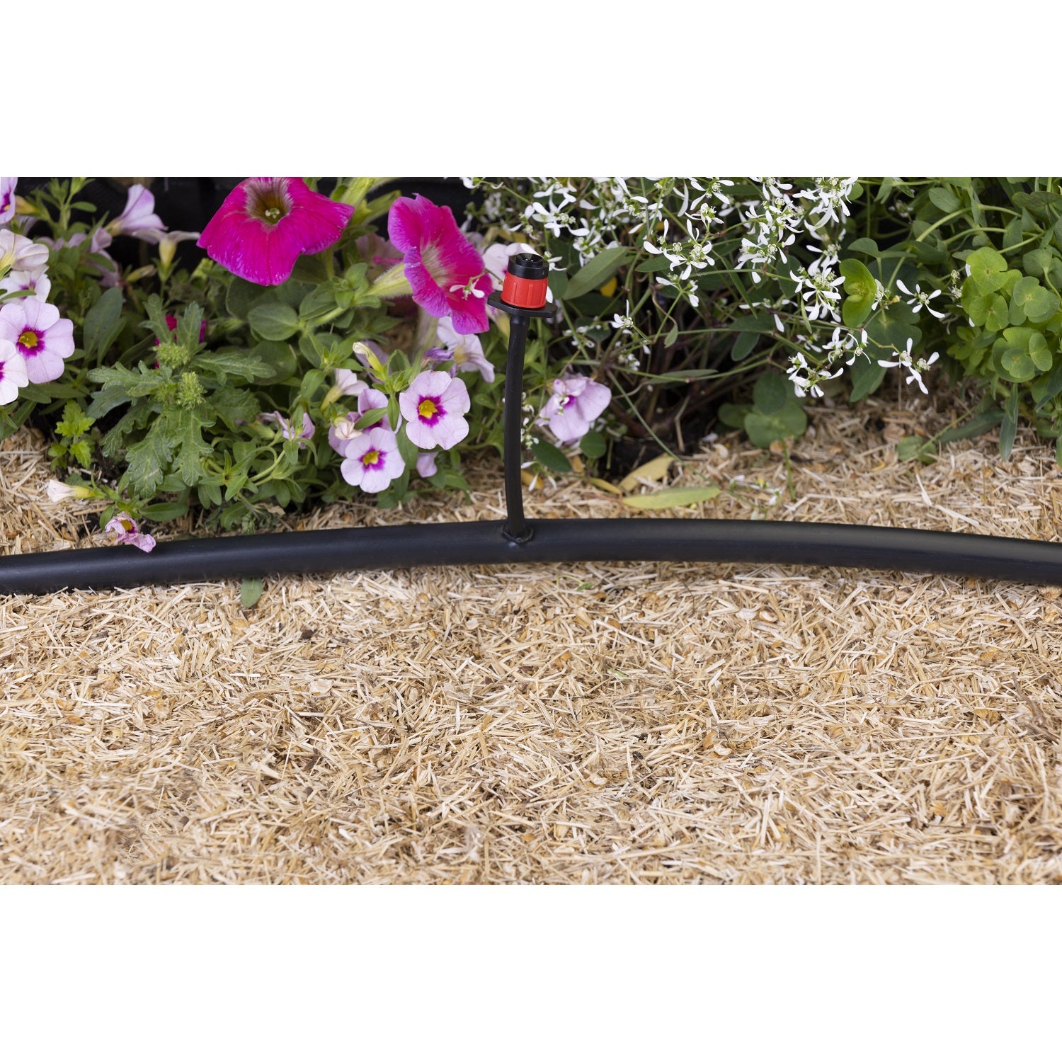 aroz-goutte-goutte-micro-arroseurs-360-r-glables-x10 image 5