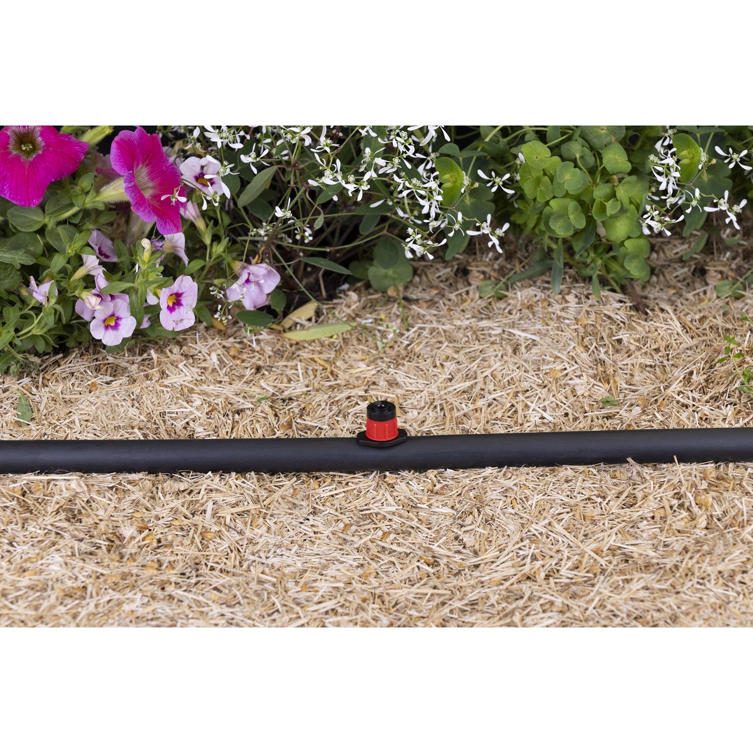 aroz-goutte-goutte-micro-arroseurs-360-r-glables-x10 image 6