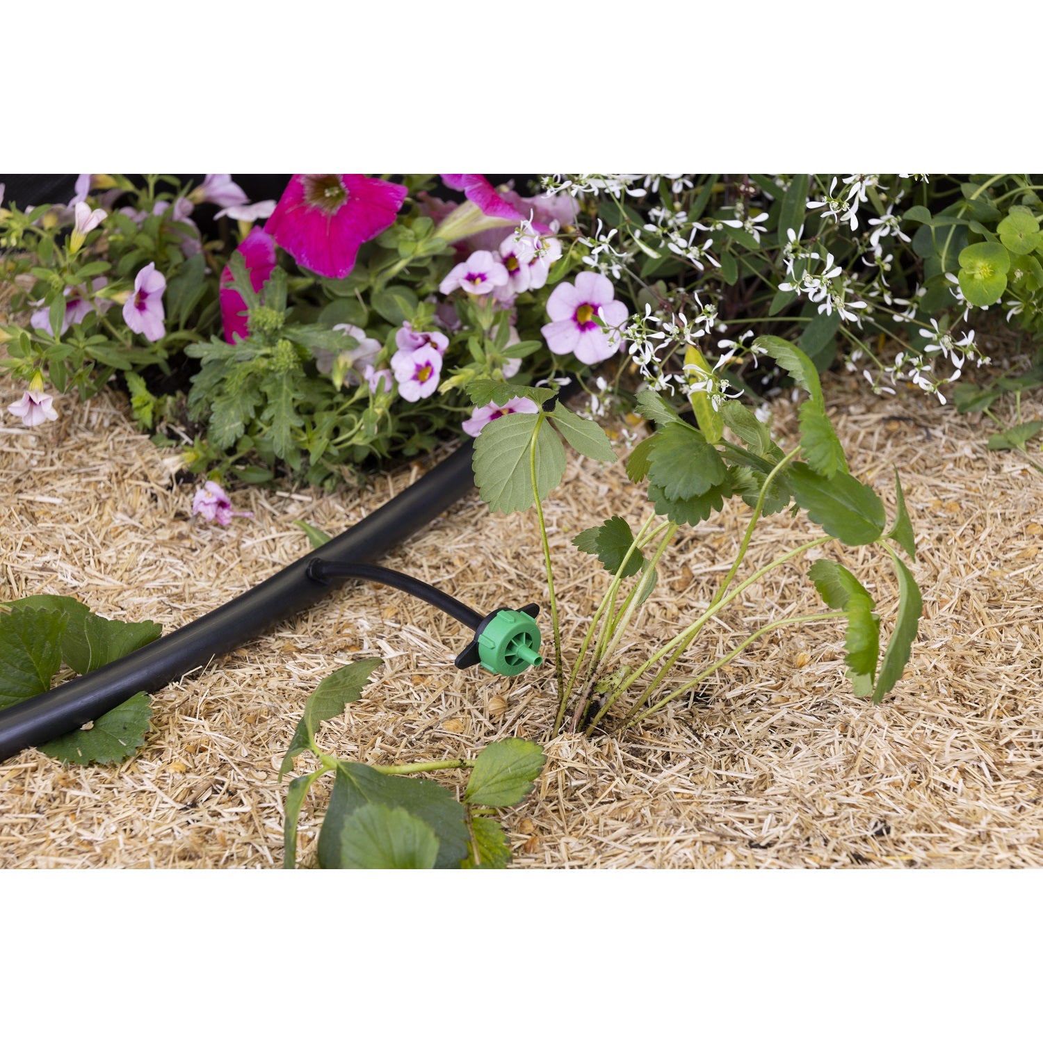 aroz-goutte-goutte-goutteur-auto-r-gulant-2-l-h-10-goutteurs image 7