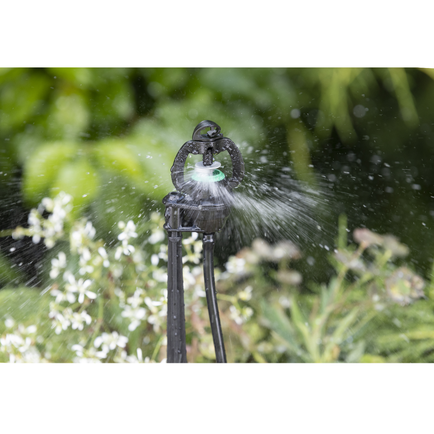 aroz-arroseurs-asperseur-sur-pic-40-cm-35-l-h-micro-tube image 4