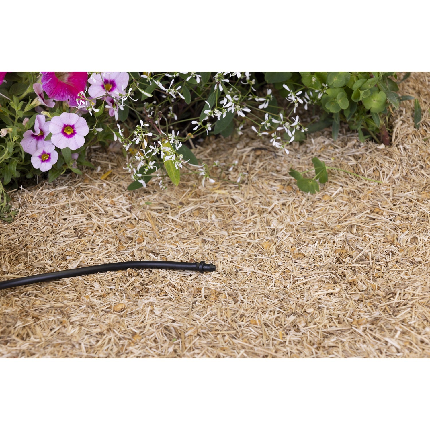 aroz-goutte-goutte-bouchon-micro-tube-6mm-x10 image 3