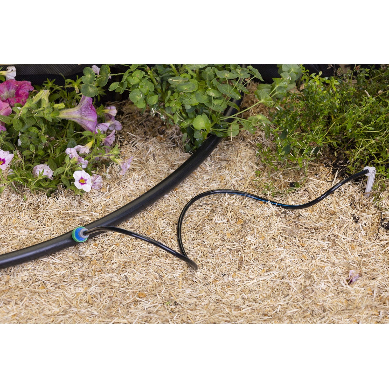 aroz-goutte-goutte-kit-capillaire-piquet-1-branche image 3