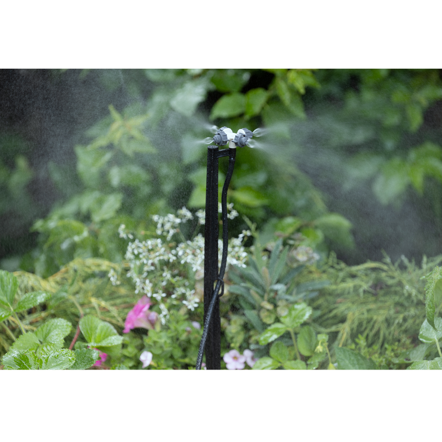 aroz-goutte-goutte-brumisateur-sur-pic-4-buses-40-cm image 3