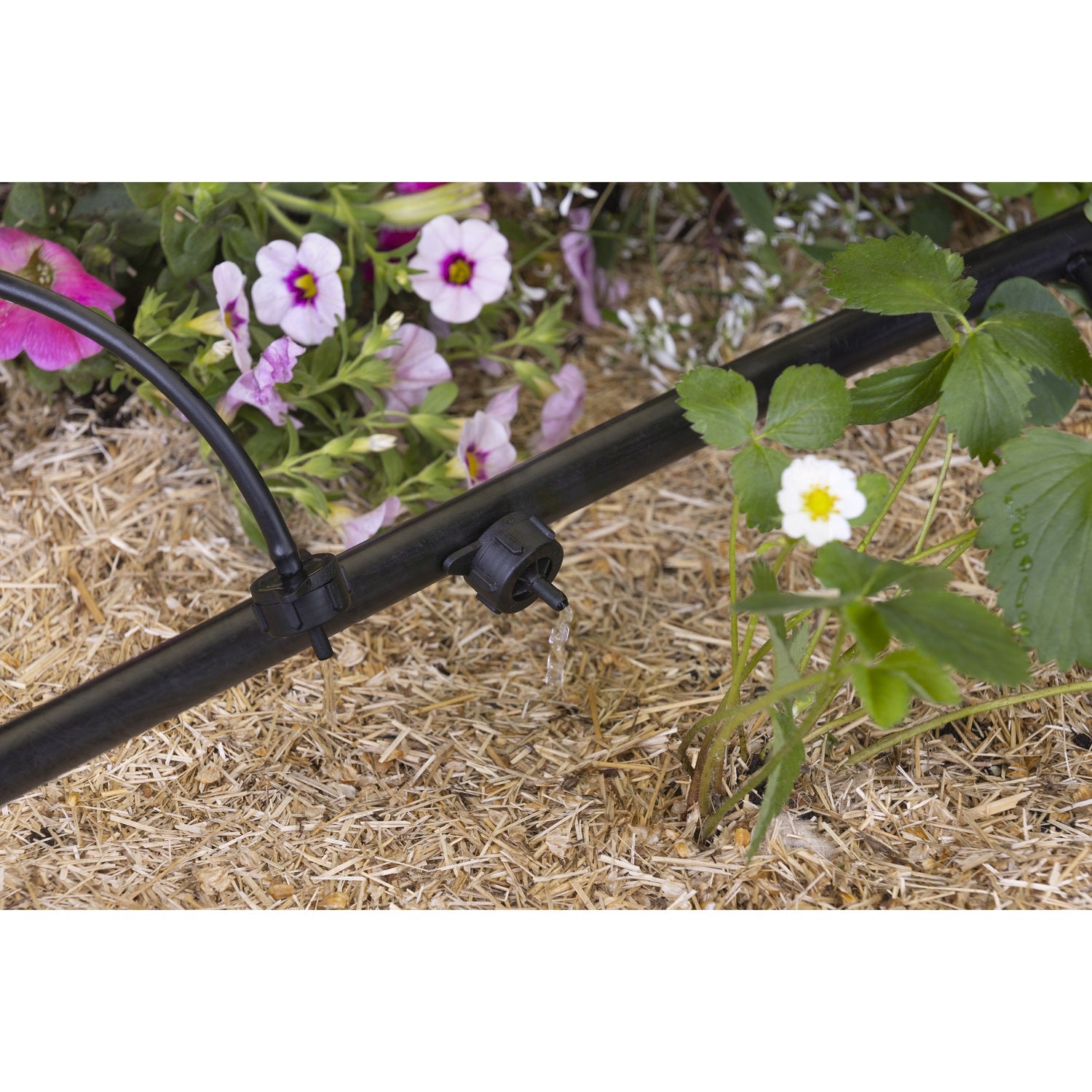 aroz-goutte-goutte-goutteur-auto-r-gulant-4-l-h-x10 image 4