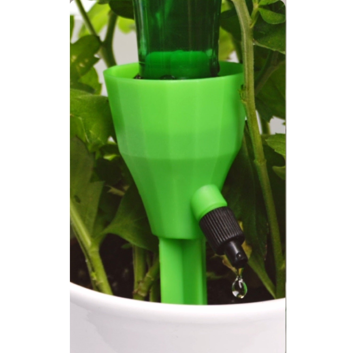 aroz-goutte-goutte-goutteur-bouteille-pic-arrosage-d-bit-r-glable image 4
