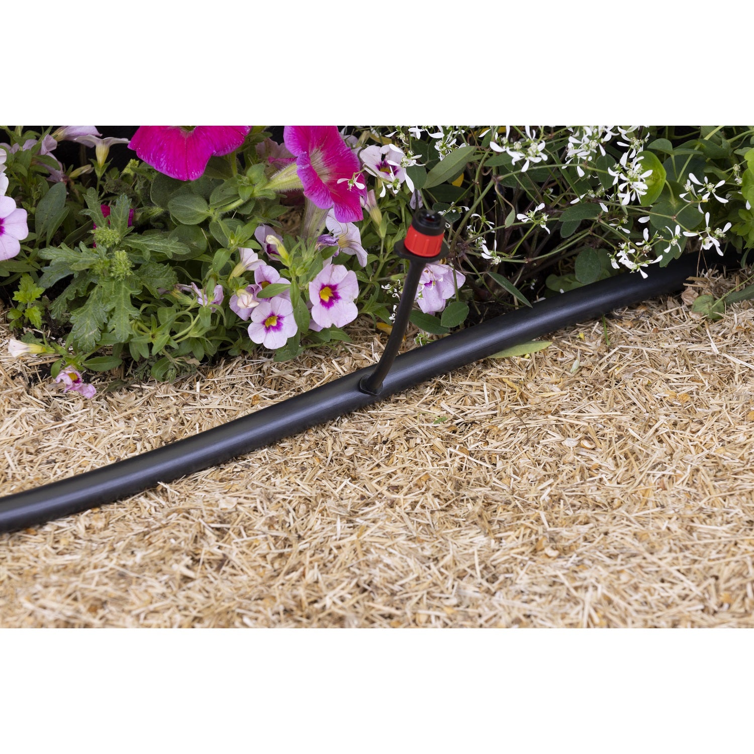 aroz-goutte-goutte-raccord-de-piquage-16-6-mm-raccord-x10 image 3