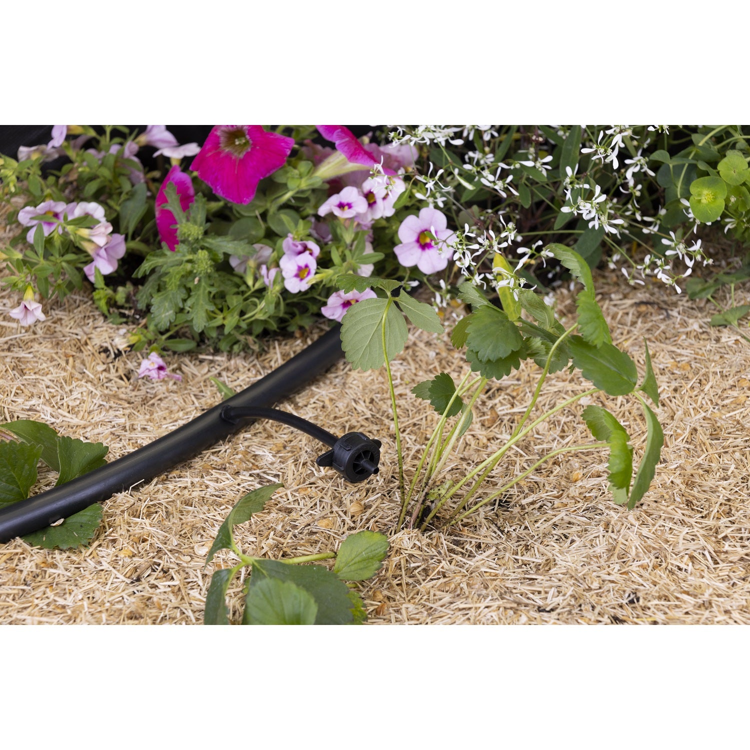 aroz-goutte-goutte-goutteur-auto-r-gulant-4-l-h-x10 image 7