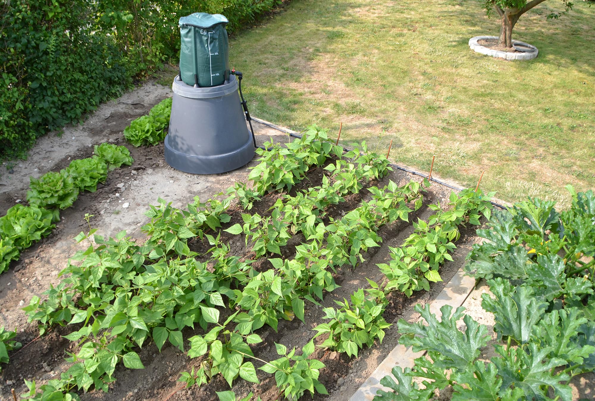 jardibric-kit-goutte-goutte-gravitaire-50-m-potager image 4