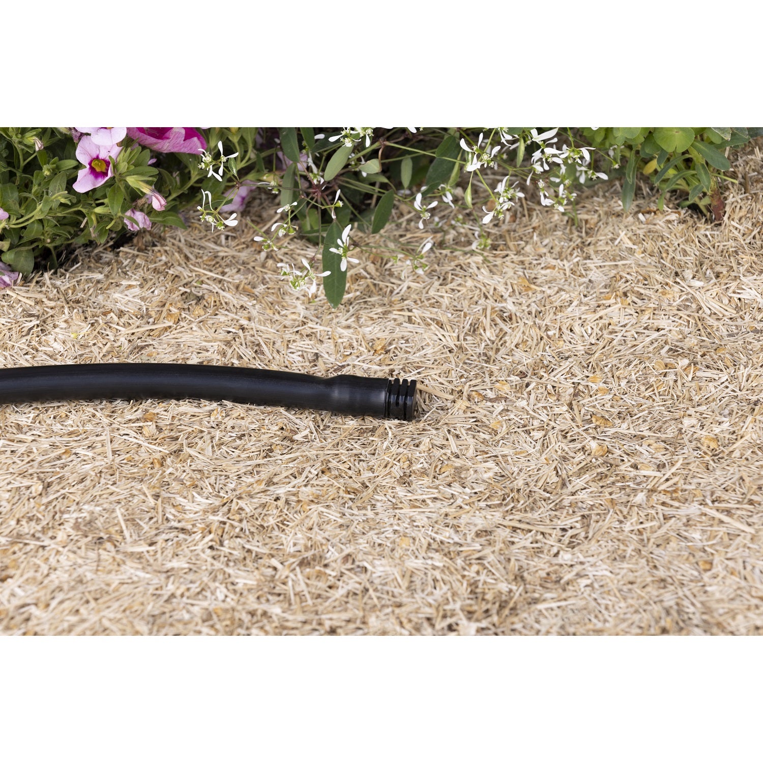 aroz-bouchon-cannel-16-mm-x10-fin-de-ligne image 3