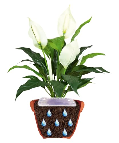 jardibric-gel-arrosage-plantes-400ml-humidit-sol image 8
