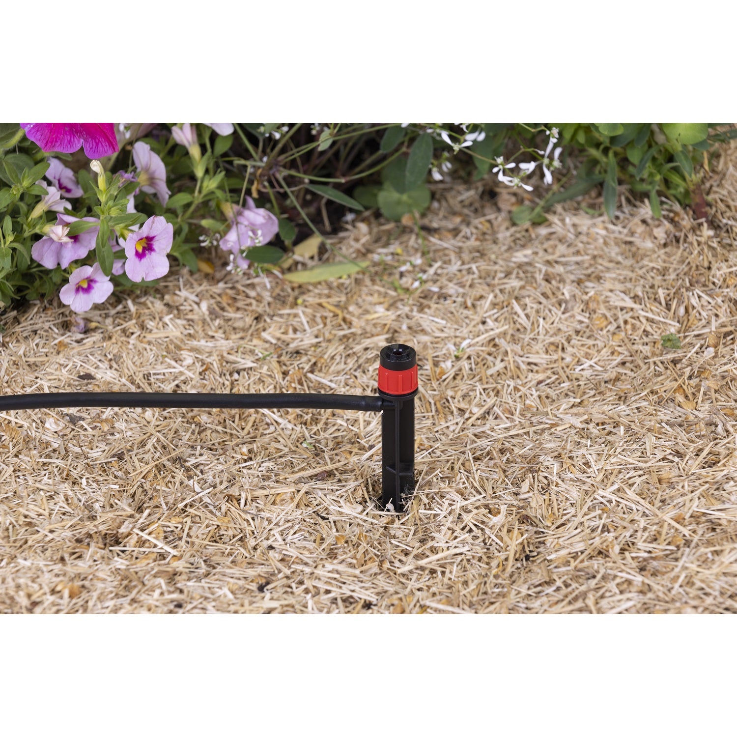 aroz-goutte-goutte-micro-arroseurs-sur-pic-x5-360 image 3