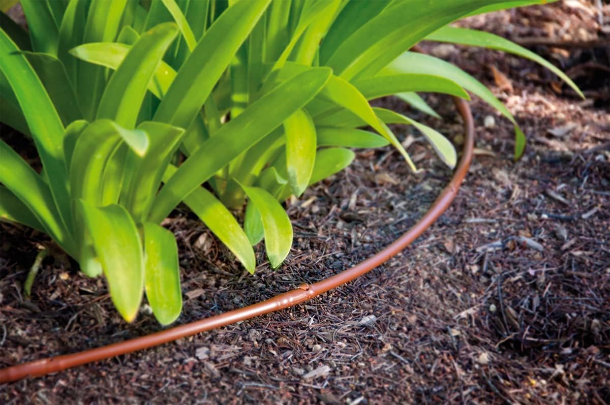 jardibric-tuyau-goutte-goutte-13x16-mm-25-m-3-l-h-33-cm-potager image 6