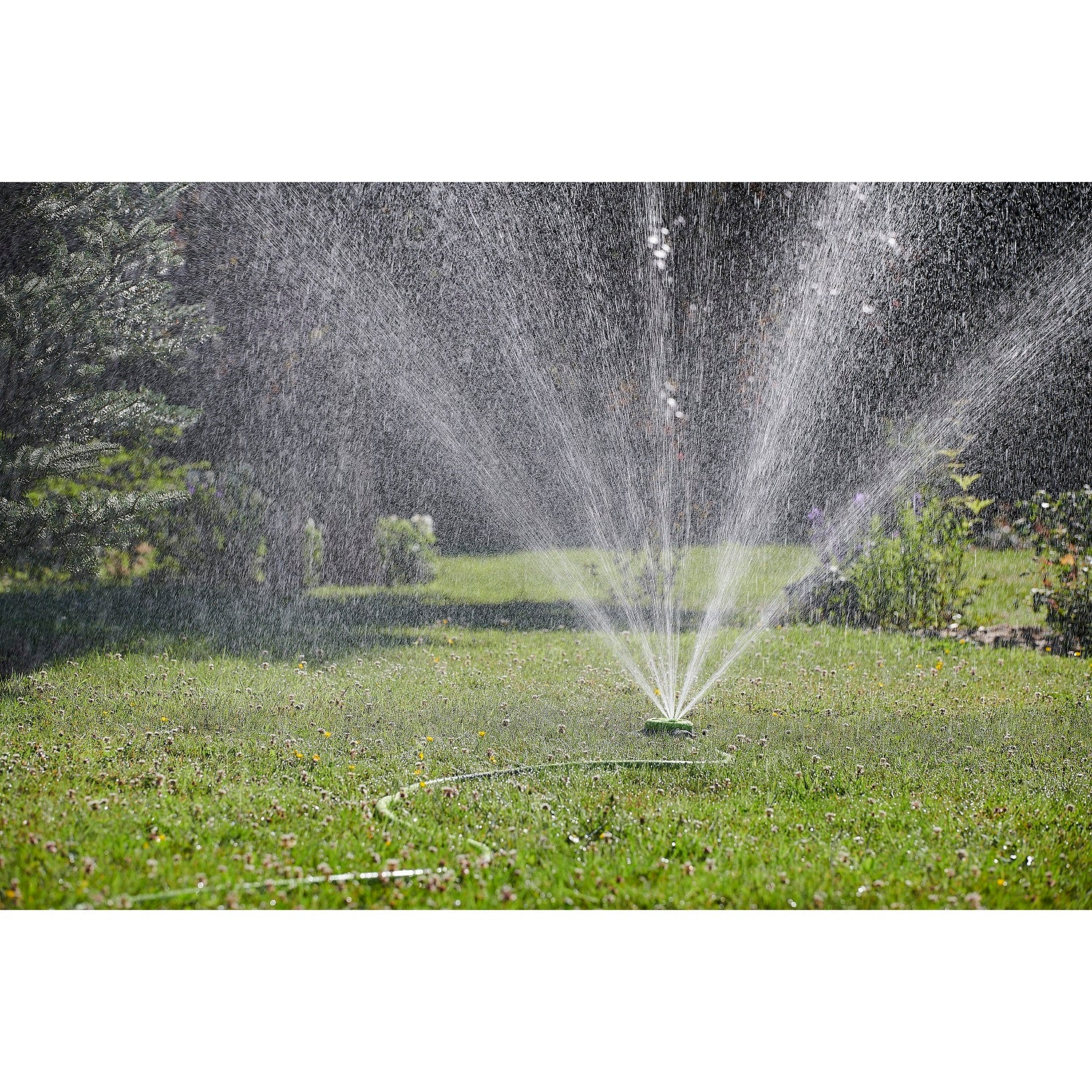 aroz-arroseur-poser-multi-surface-circulaire-rectangulaire image 7