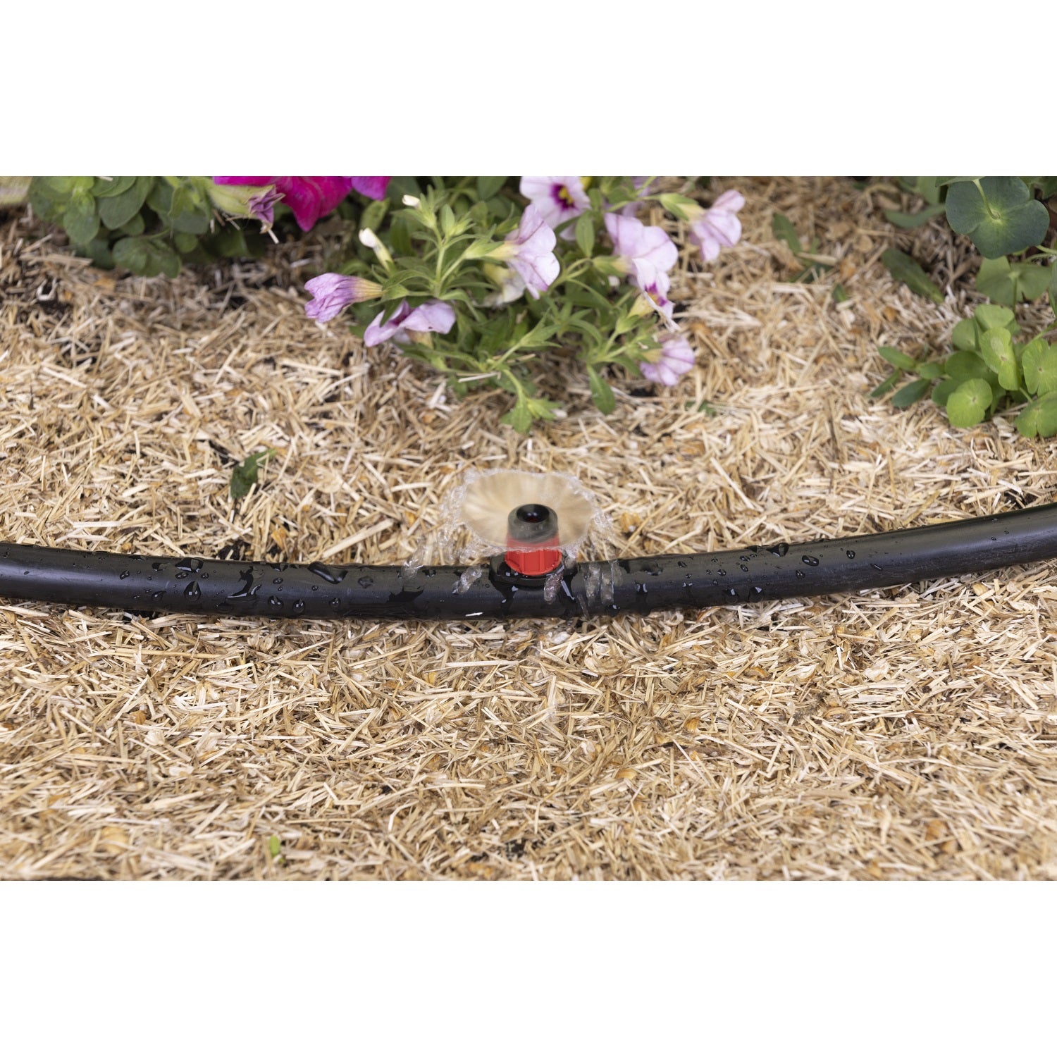 aroz-goutte-goutte-micro-arroseurs-360-r-glables-x10 image 8