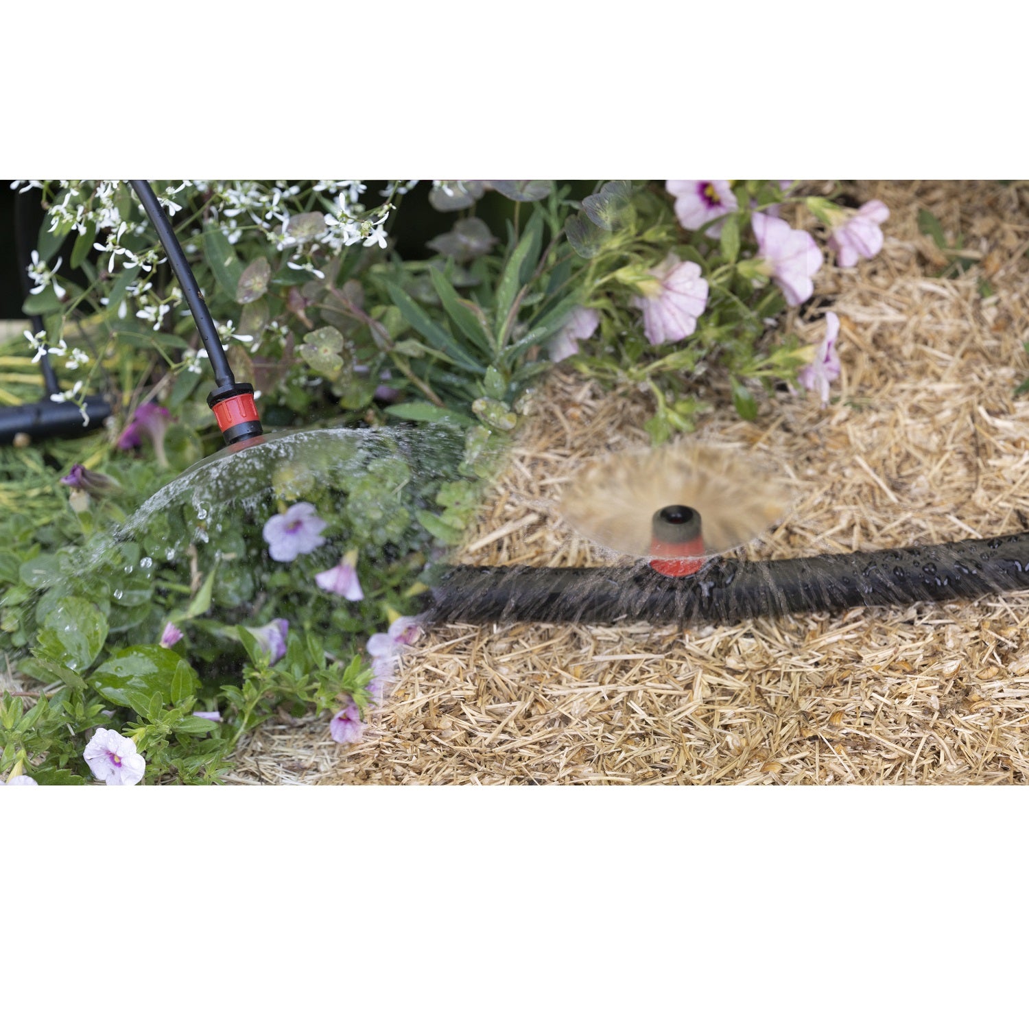 aroz-goutte-goutte-micro-arroseurs-360-r-glables-x10 image 3