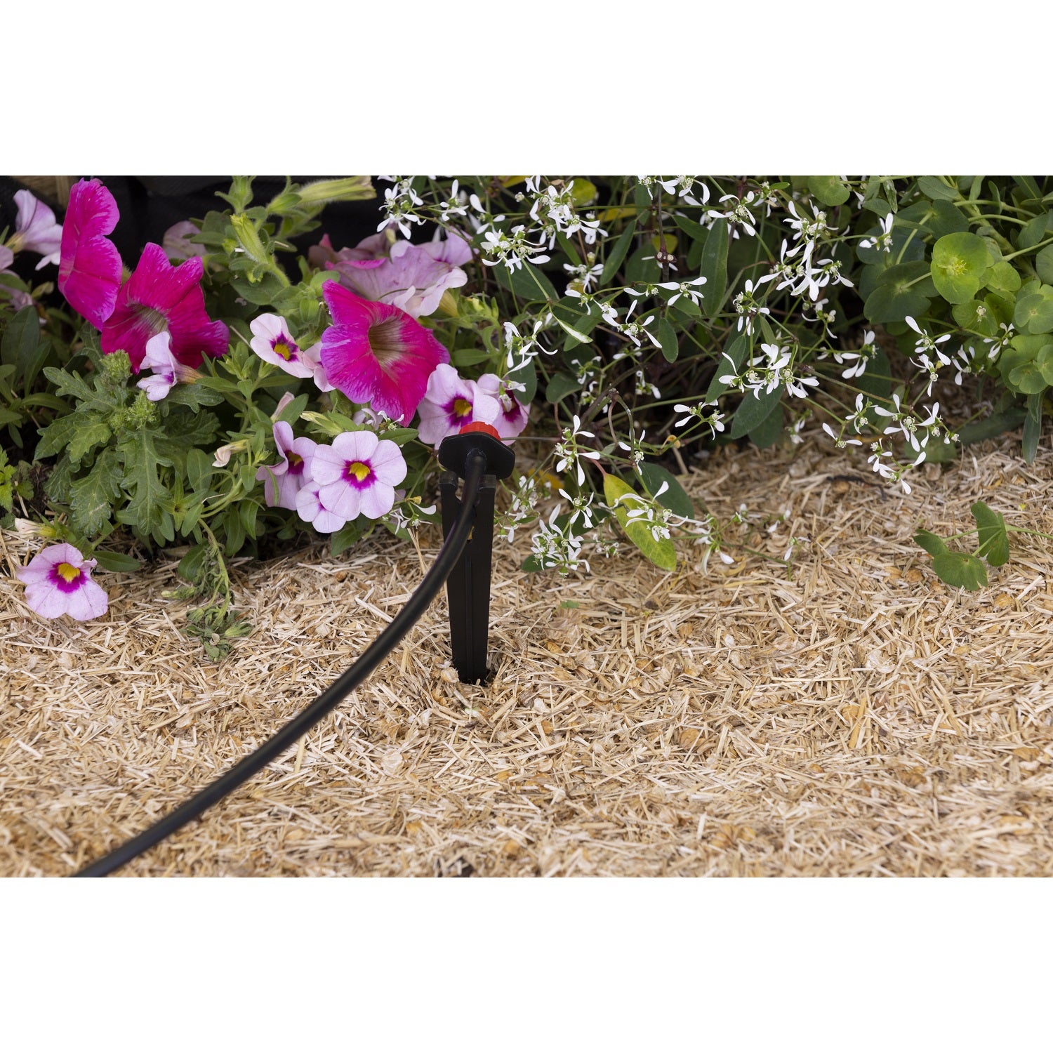 aroz-pic-maintien-micro-tube-6-mm-x10-pics-goutteurs image 8