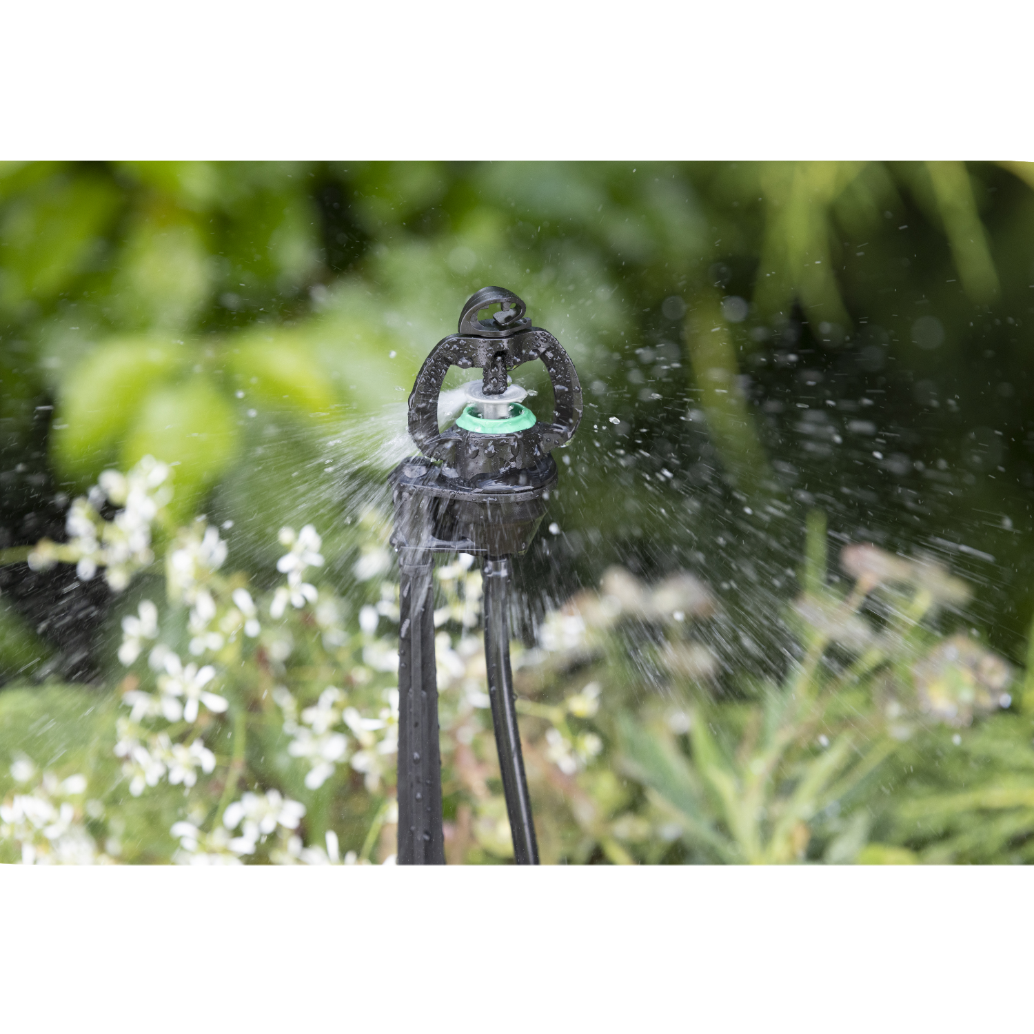 aroz-arroseurs-asperseur-sur-pic-40-cm-35-l-h-micro-tube image 5