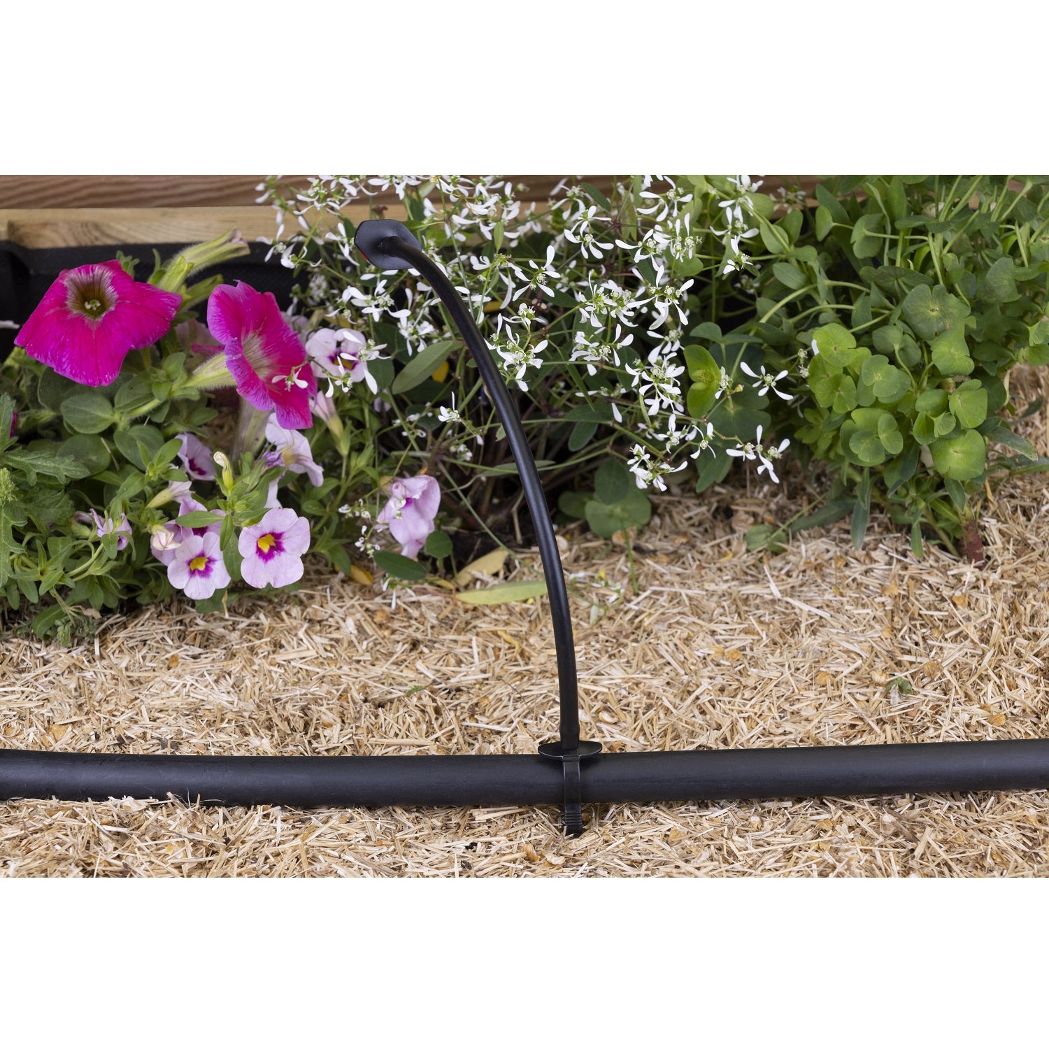 aroz-goutte-goutte-goutteur-r-glable-sur-pic-x5-360 image 4