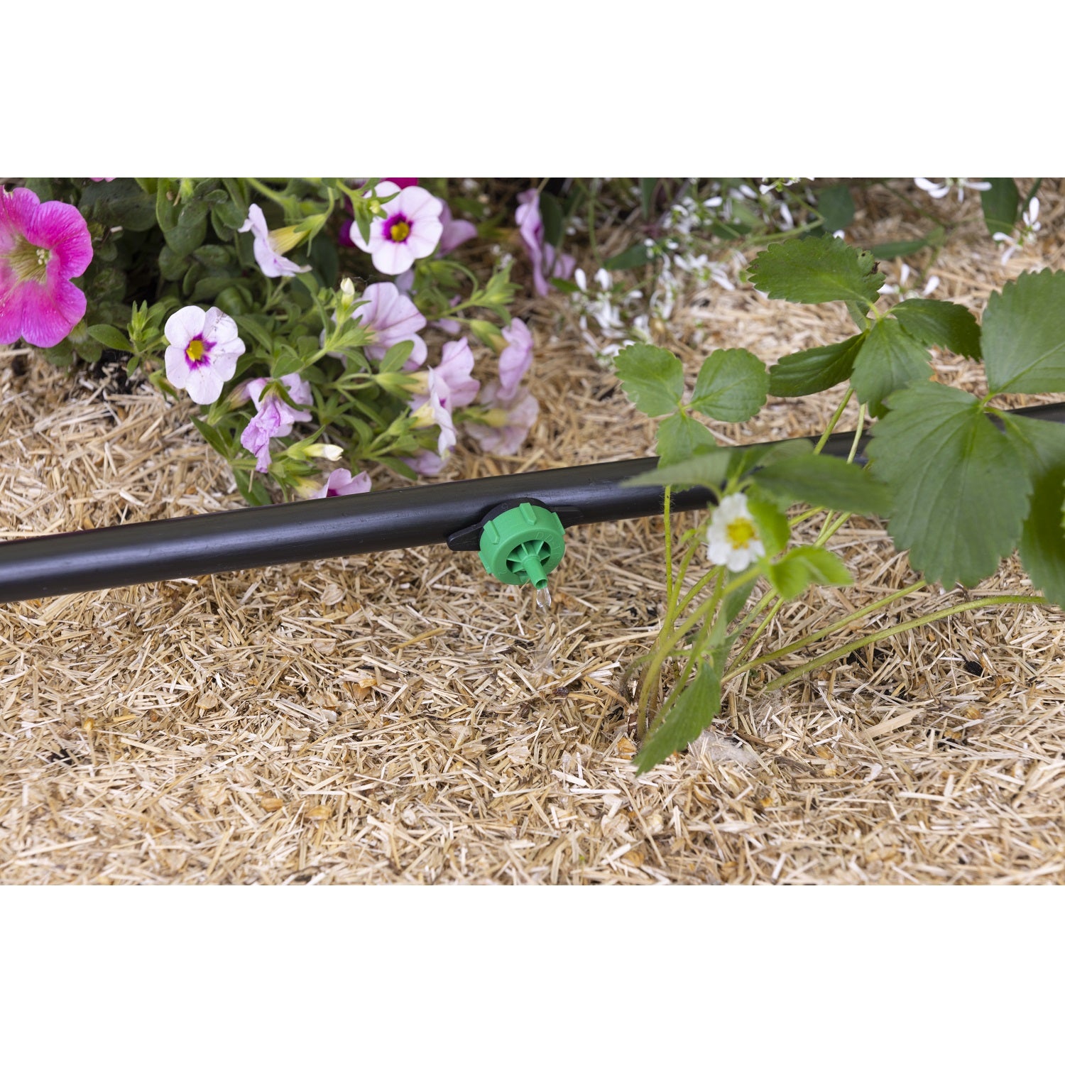 aroz-goutte-goutte-goutteur-auto-r-gulant-2-l-h-10-goutteurs image 8