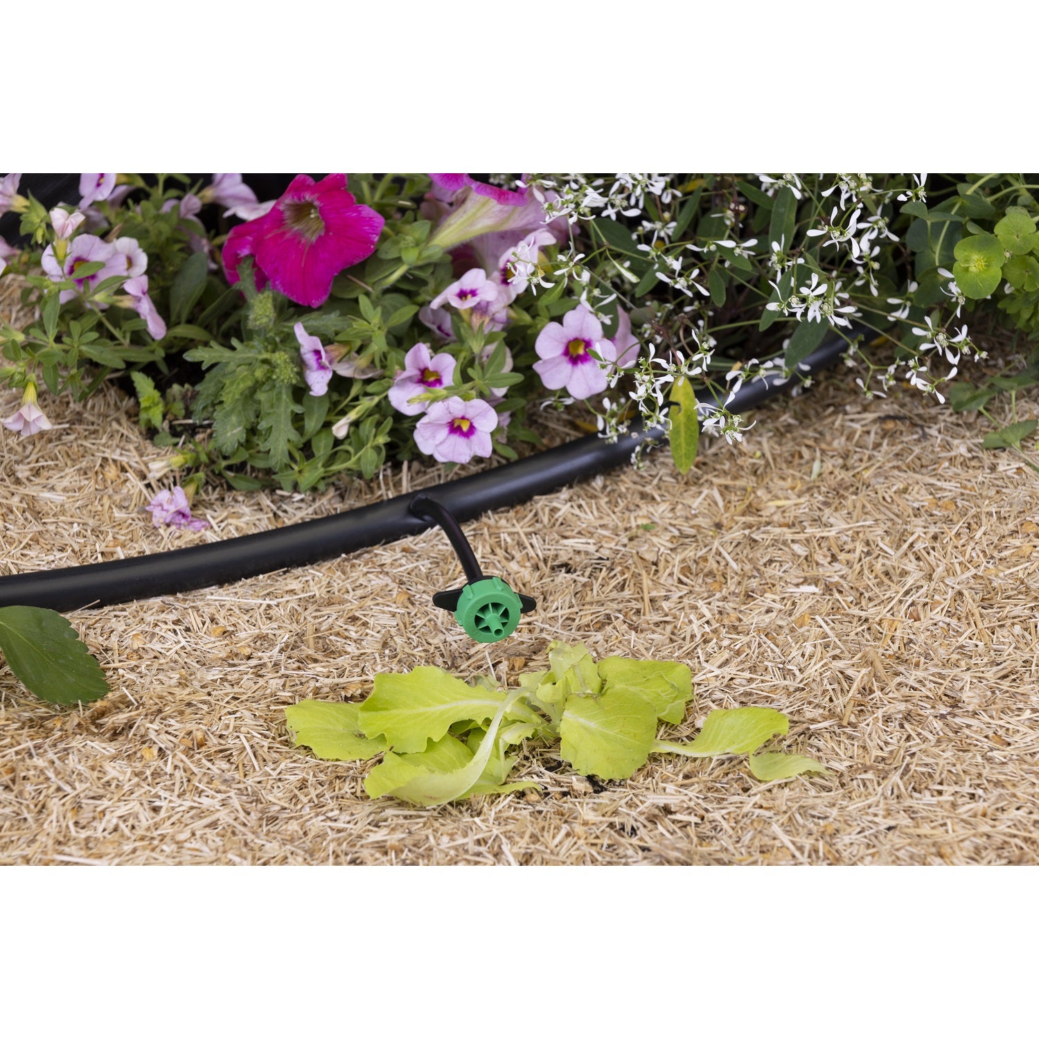 aroz-goutte-goutte-goutteur-auto-r-gulant-2-l-h-10-goutteurs image 6
