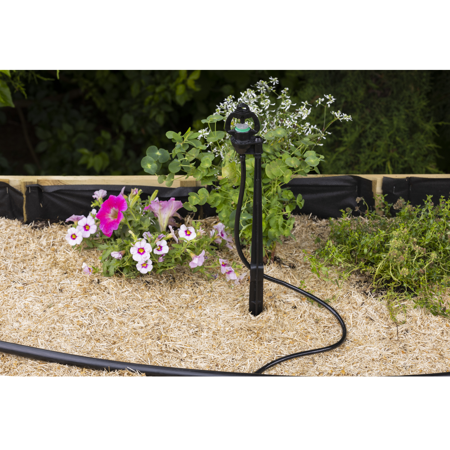aroz-arroseurs-asperseur-sur-pic-40-cm-35-l-h-micro-tube image 2