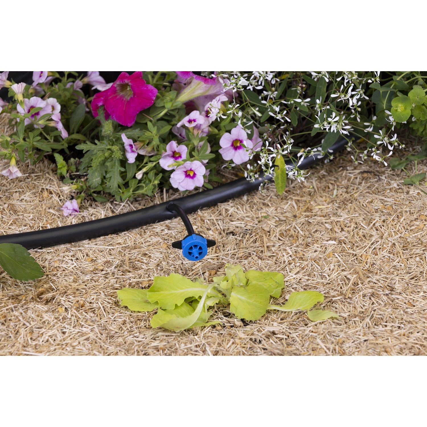 aroz-goutte-goutte-goutteur-autor-gulant-8-l-h-10-goutteurs image 6