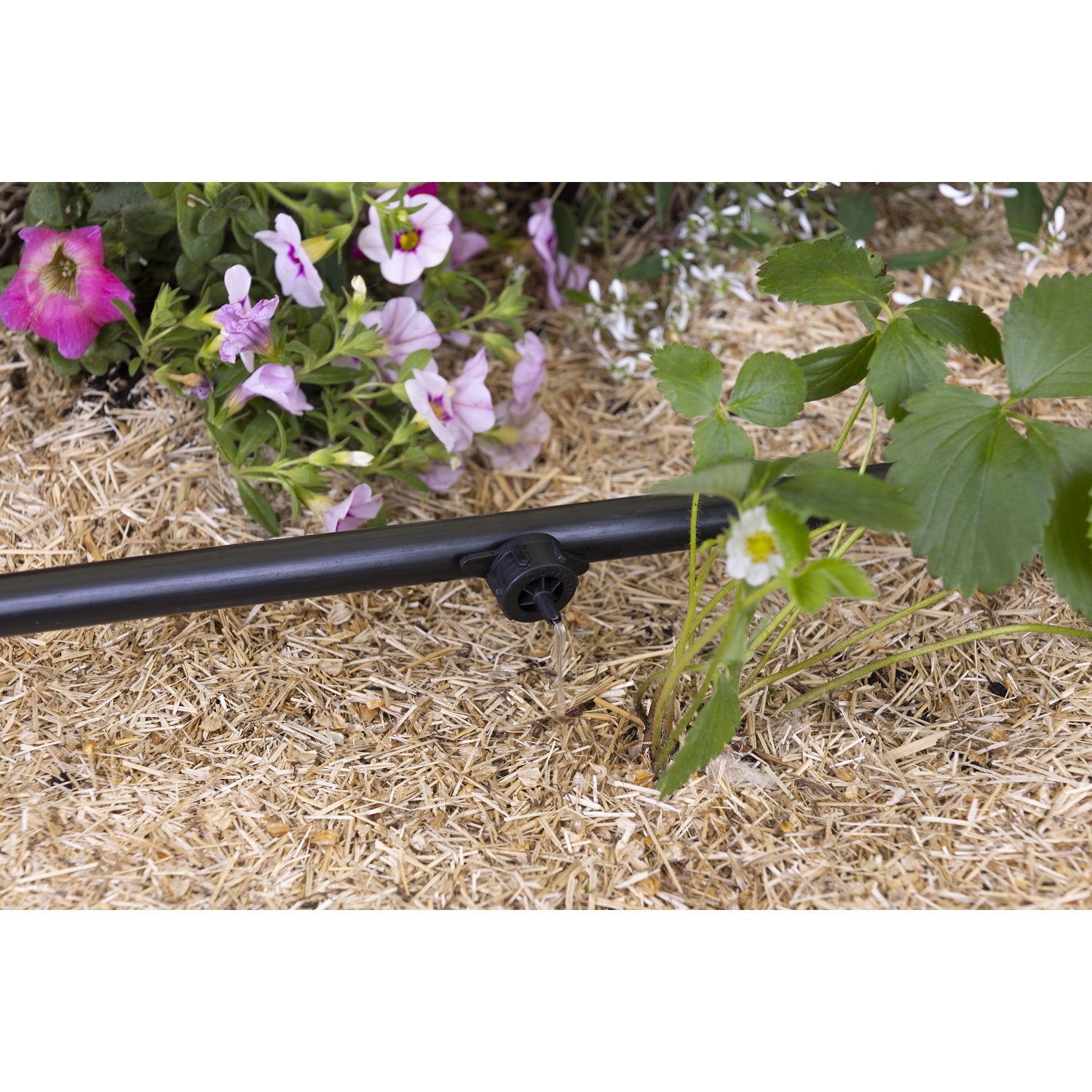 aroz-goutte-goutte-goutteur-auto-r-gulant-4-l-h-x10 image 8