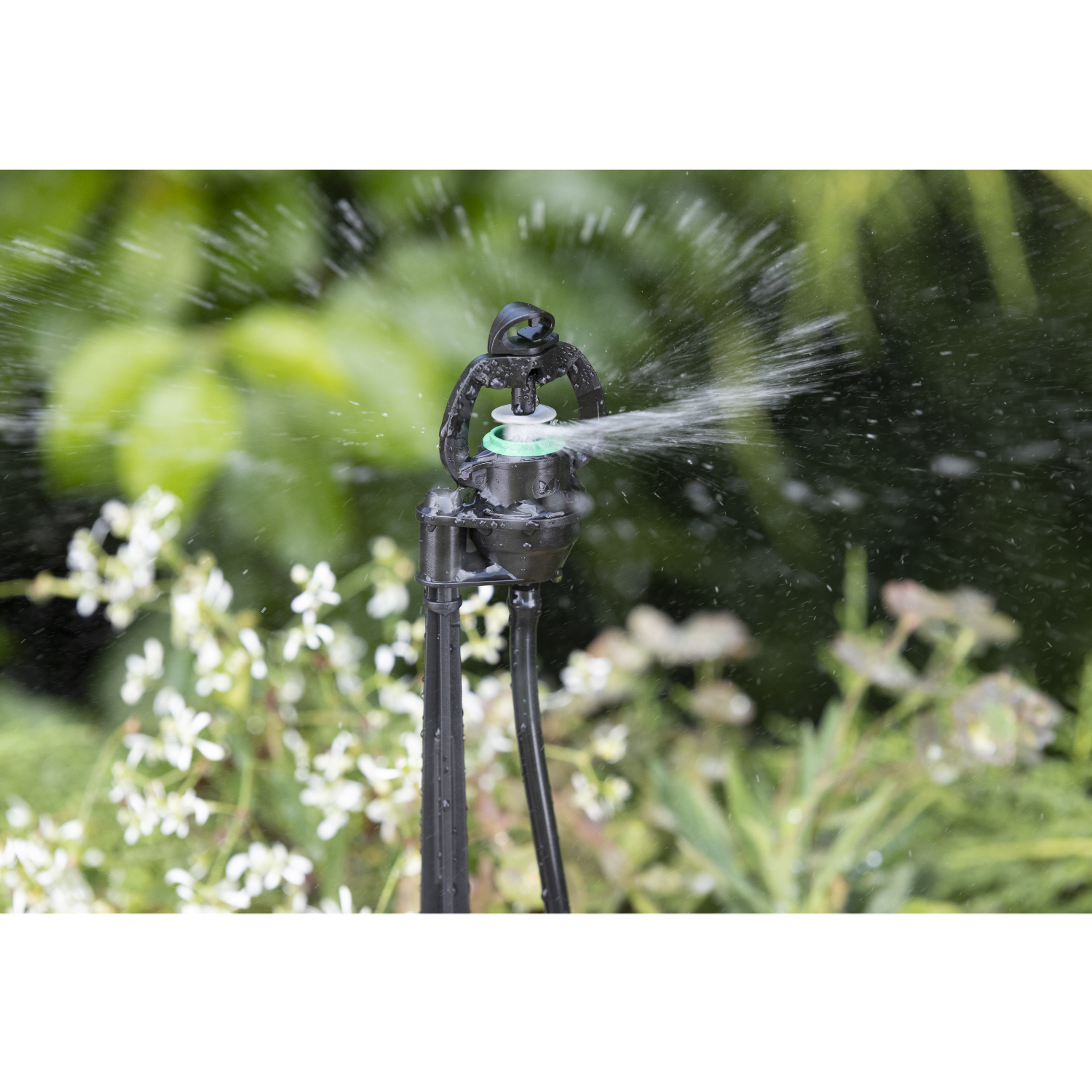 aroz-arroseurs-asperseur-sur-pic-40-cm-35-l-h-micro-tube image 3
