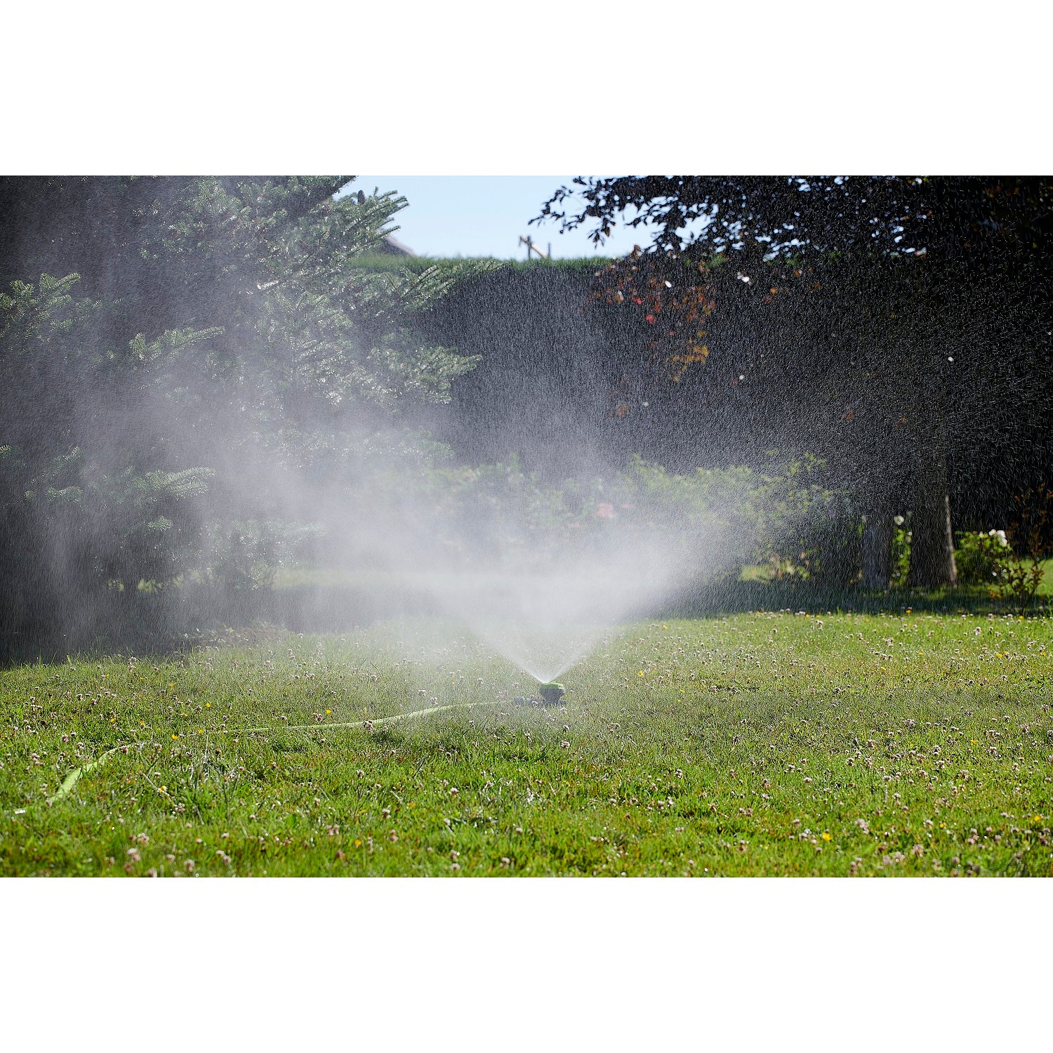 aroz-arroseur-sur-pic-asperseur-jardin-jet-r-glable image 7