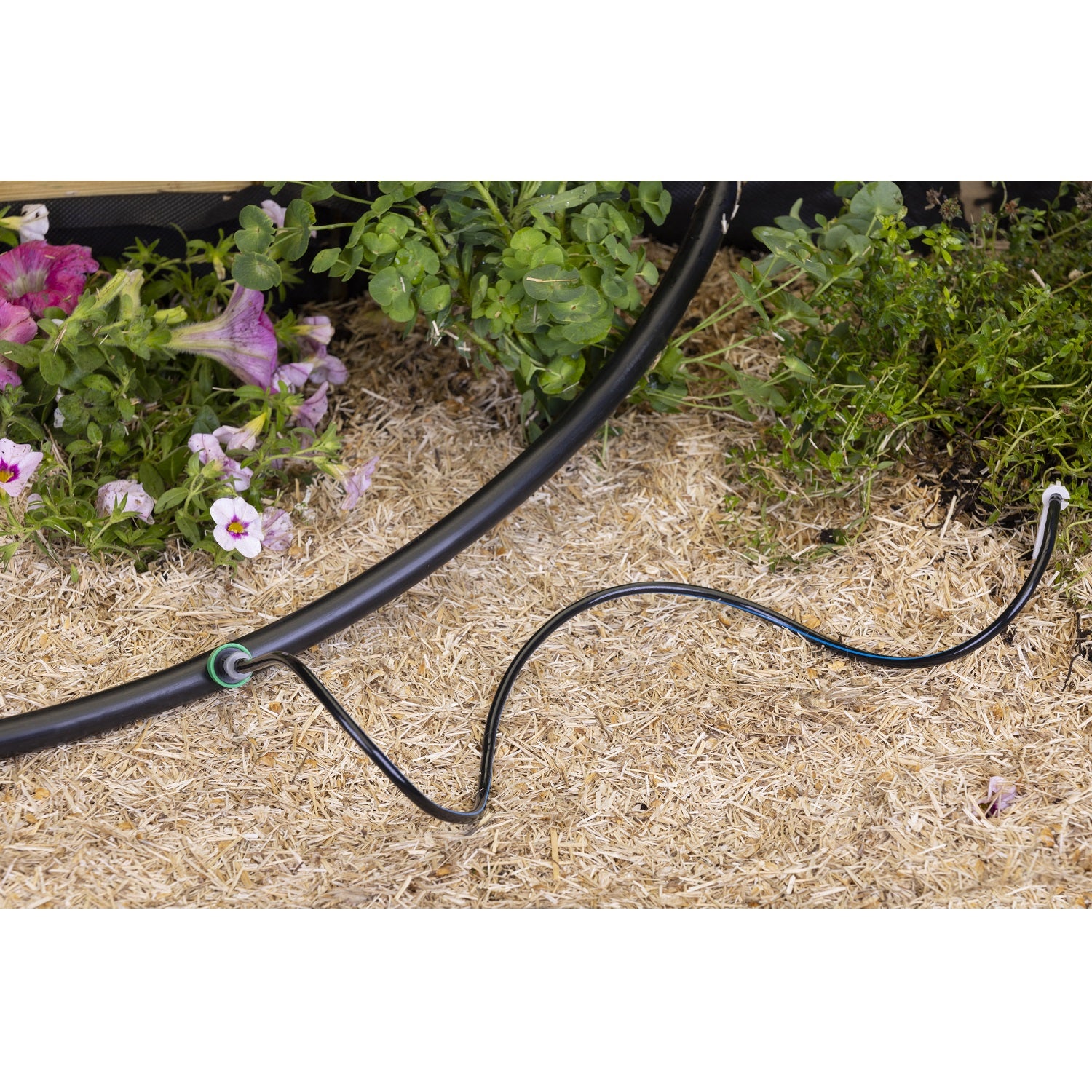 aroz-goutte-goutte-kit-capillaire-piquet-1-branche image 4